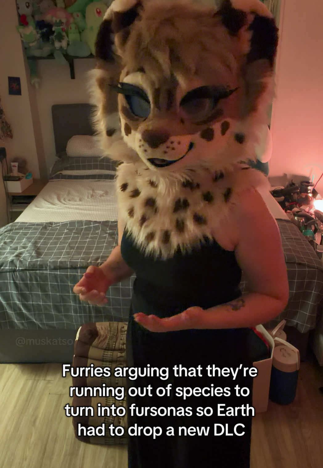 @Amyquel