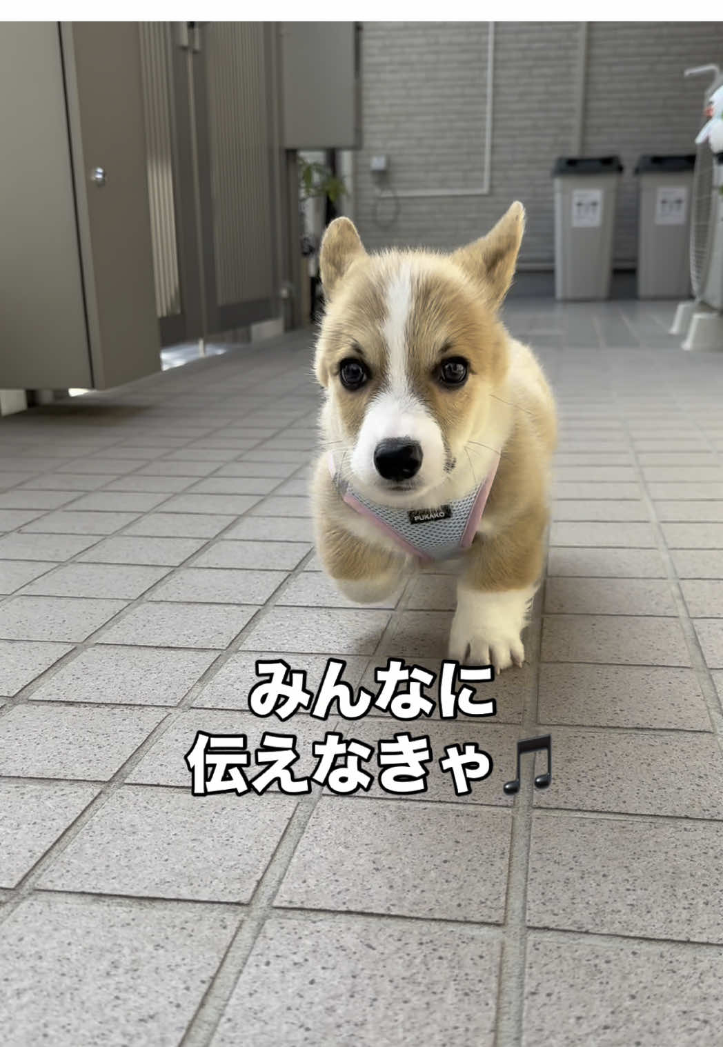 @トロン