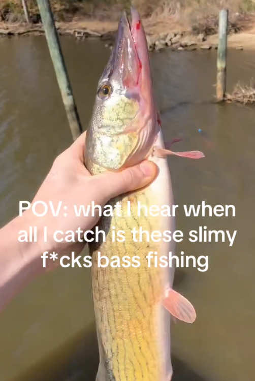 @baltimorebanditfishing
