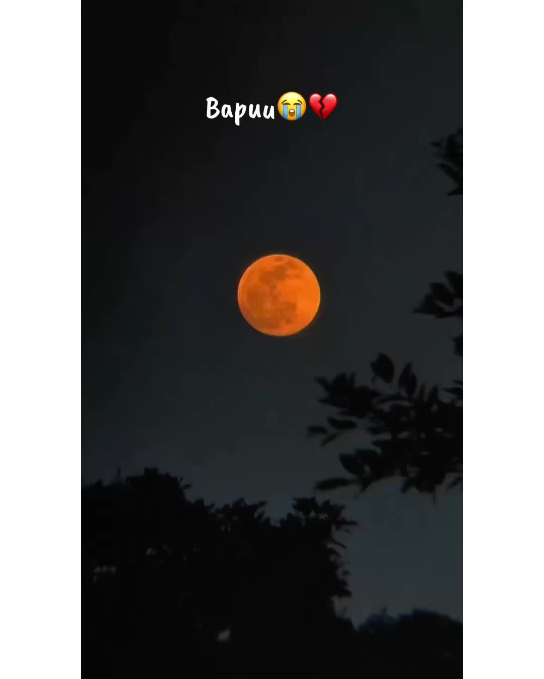 @⚜️𝐊𝐇𝐎𝐊𝐇𝐀𝐑❤️🩹