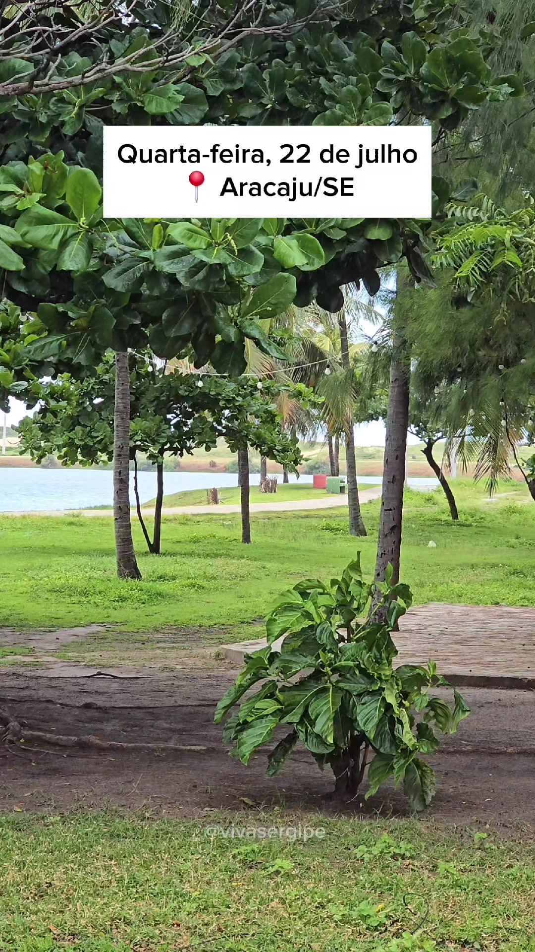 @Viva Sergipe