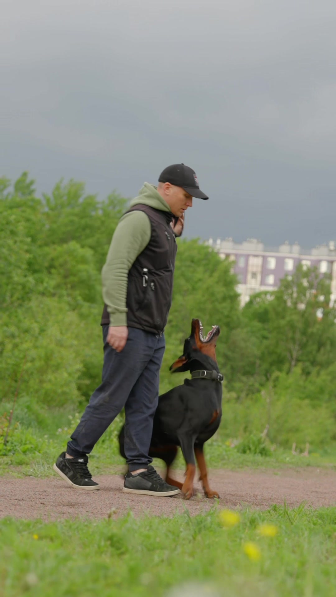 @Djudi_Doberman