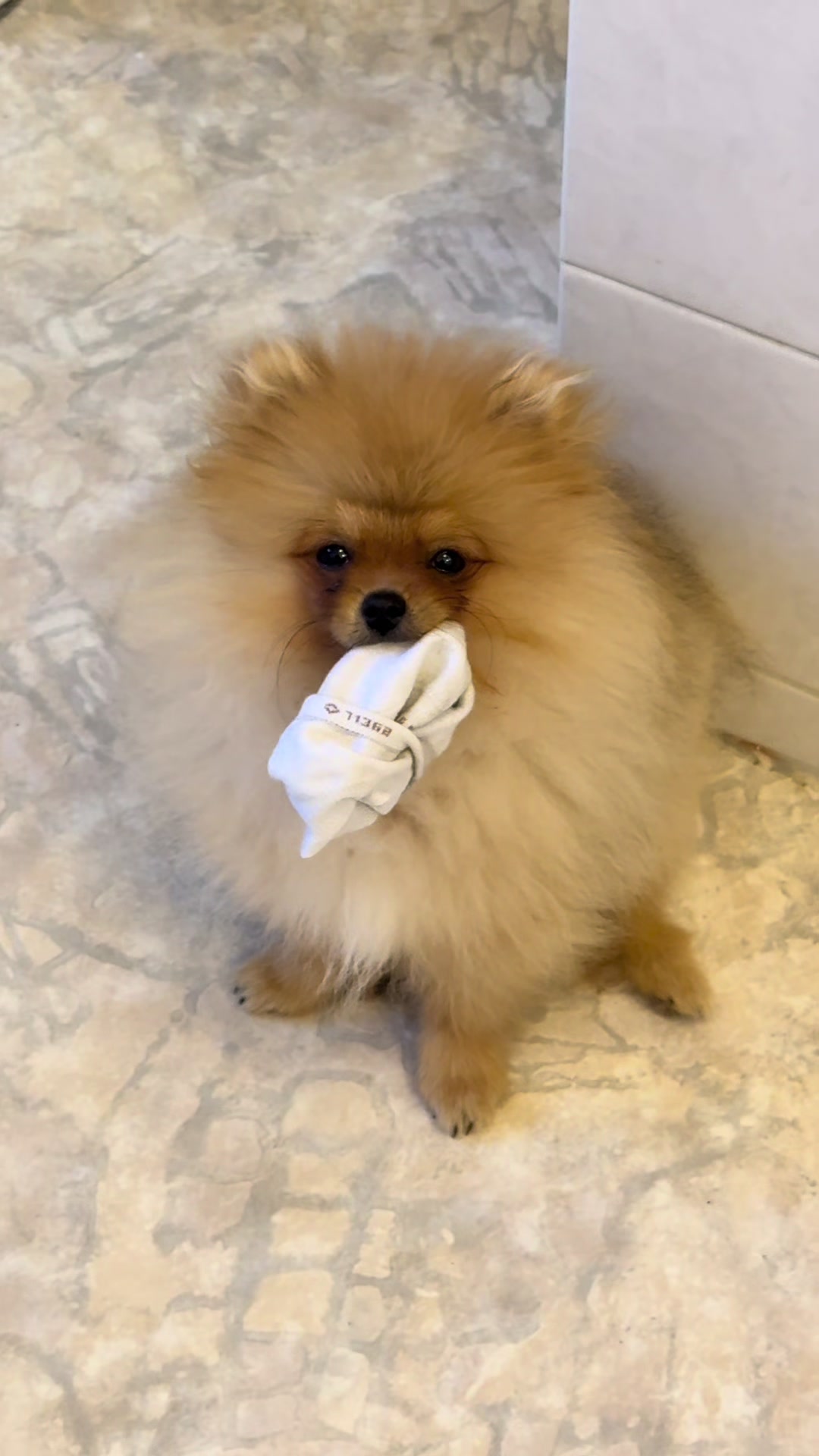 @ByCaroline✨