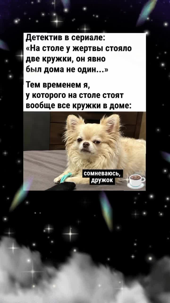@๐๐๐ช๐ฝ๐ฝ๐ฝ๐ฒ ๐