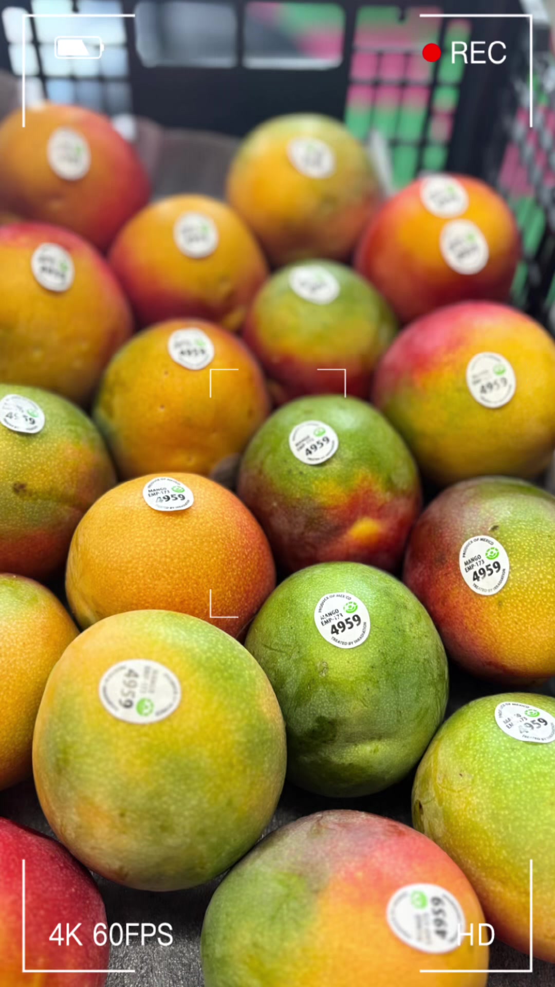 @Global_Grocers_Ltd