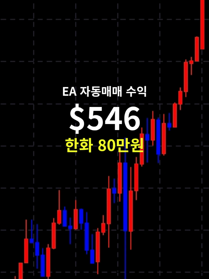 @독싸 &bull; 개인 트레이더