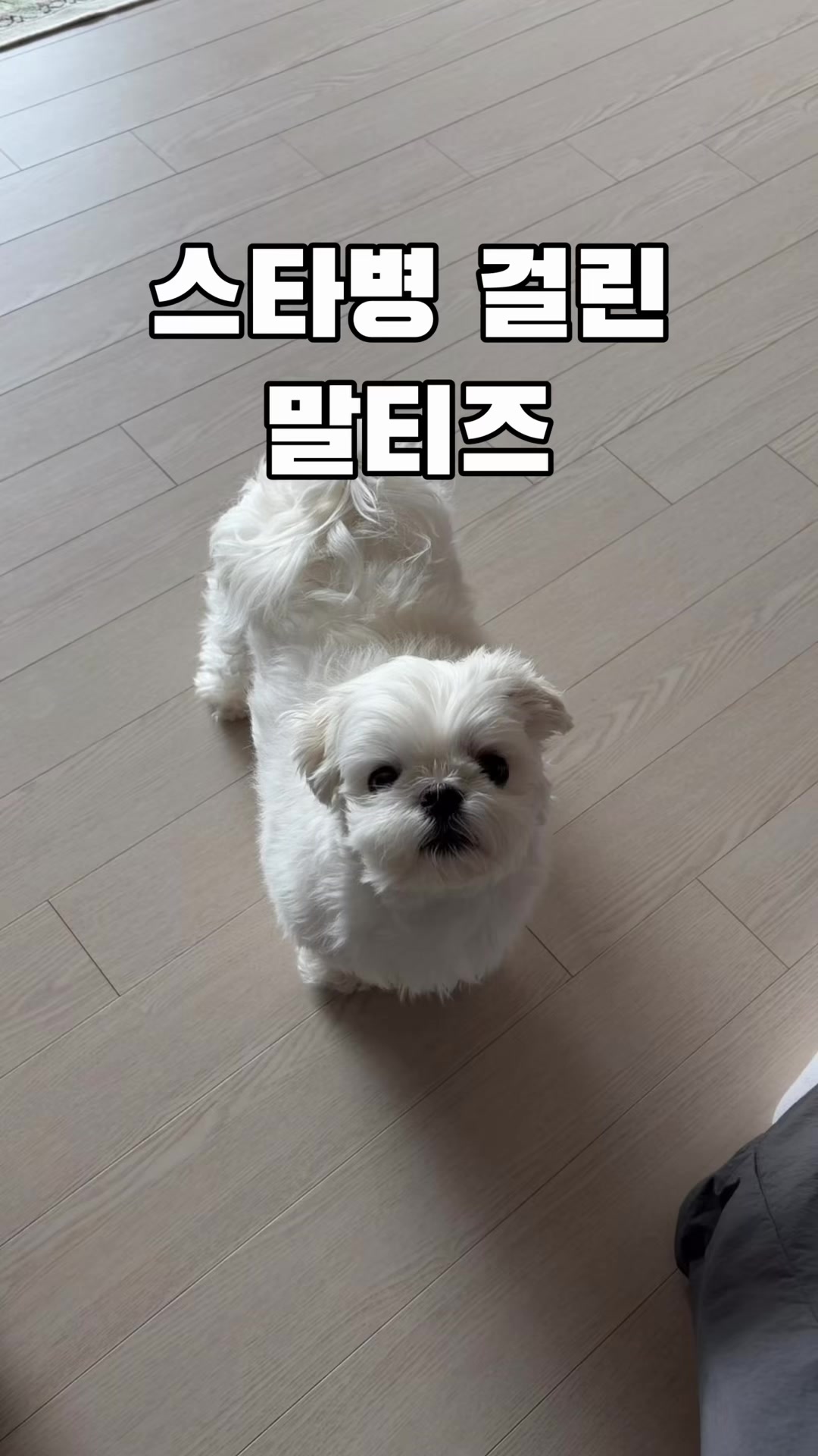 @박까까