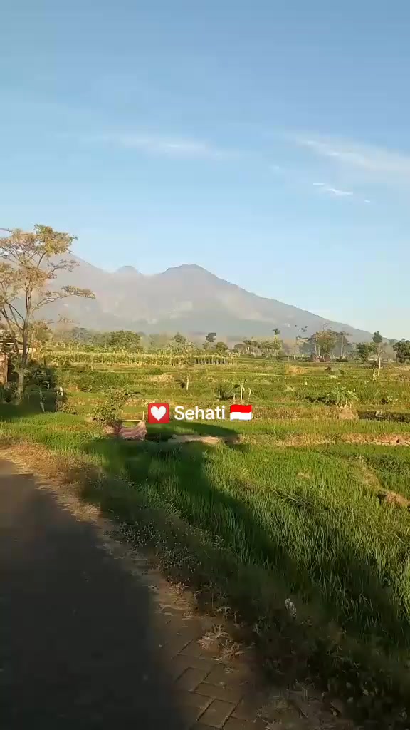 @💟 Sehati 🇮🇩