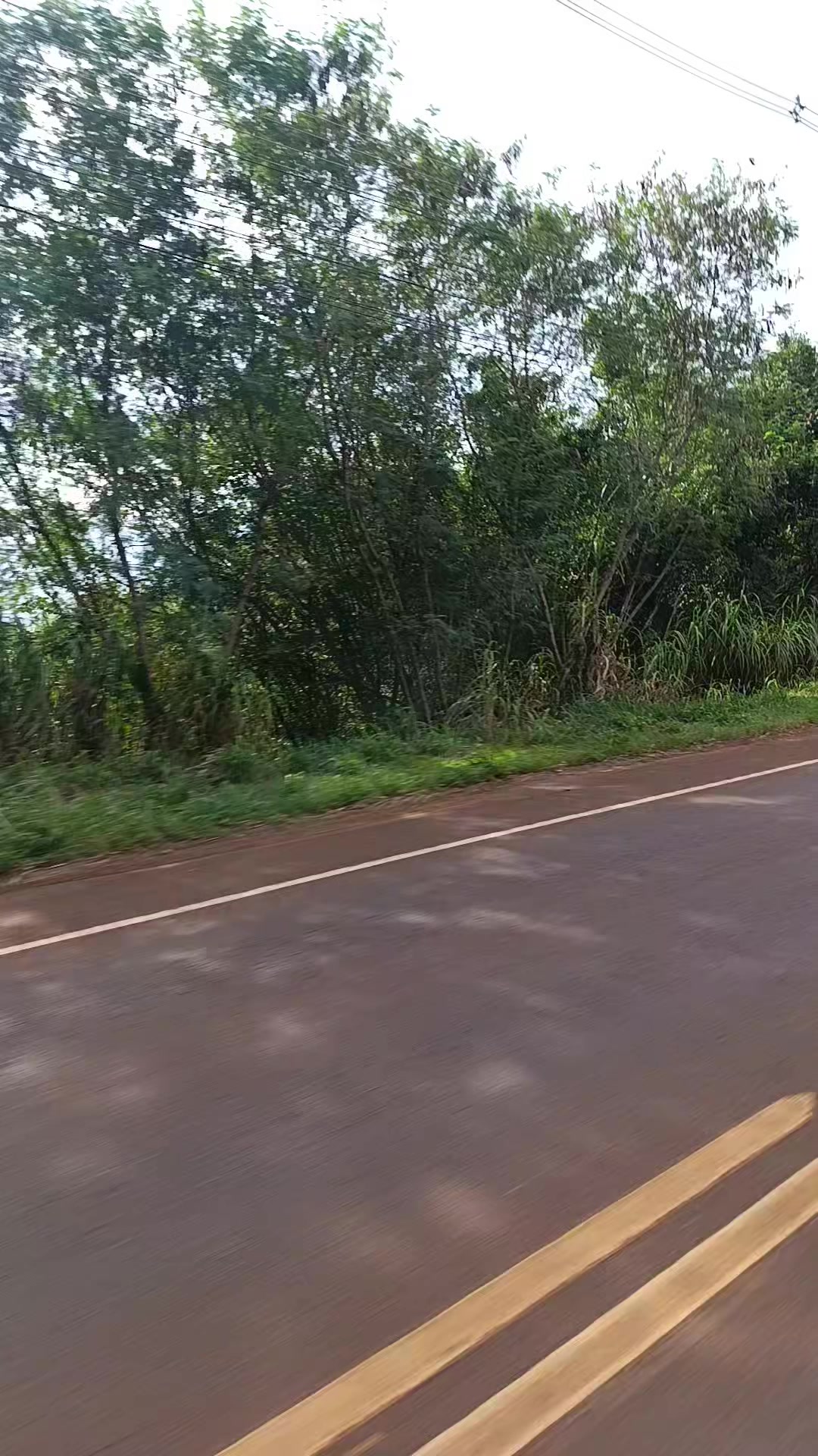@orique ramos