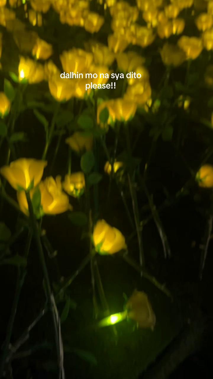 @a n g ୨ৎ⋆.𐙚 ̊