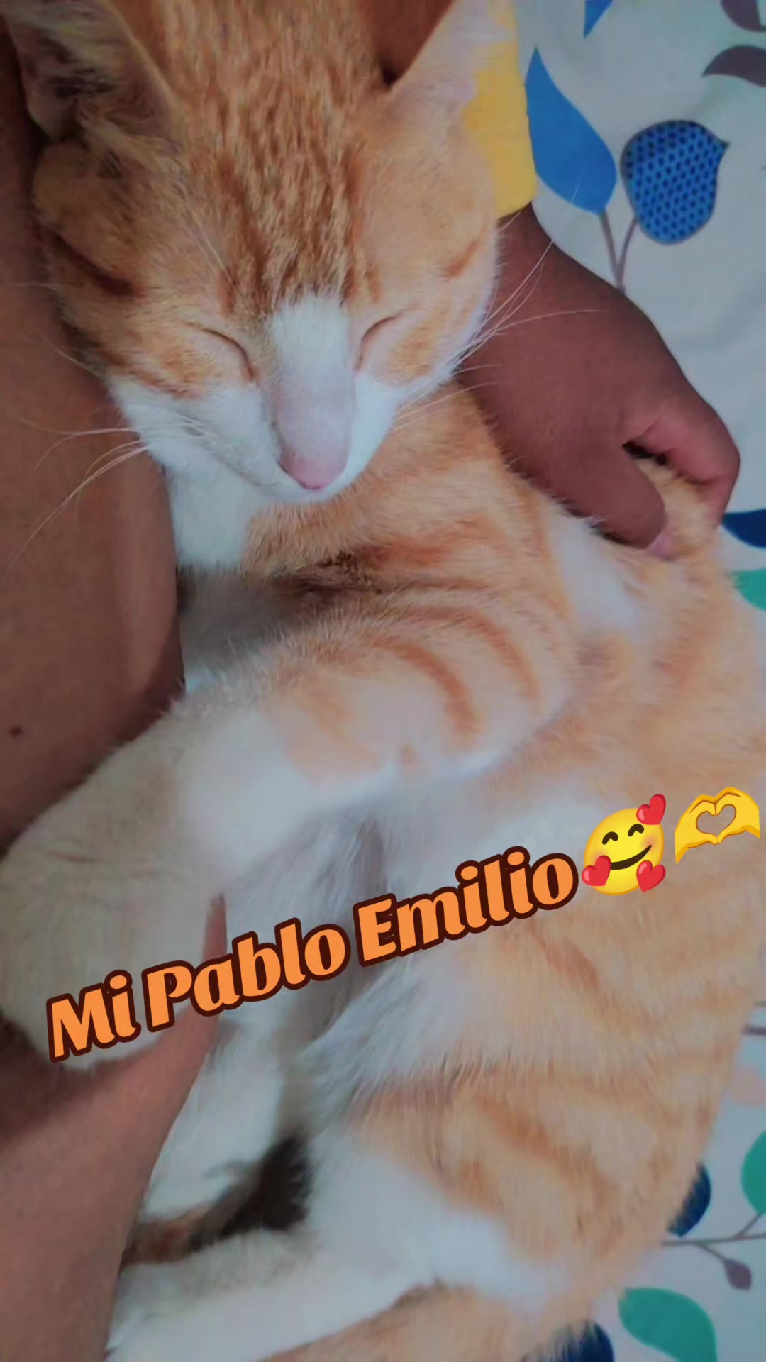 @❤️Chikita❤️&zwj;🔥Belencita❤️