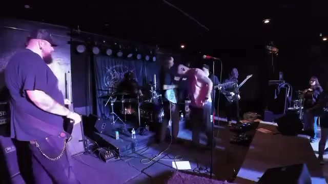 @mrwiggles1666