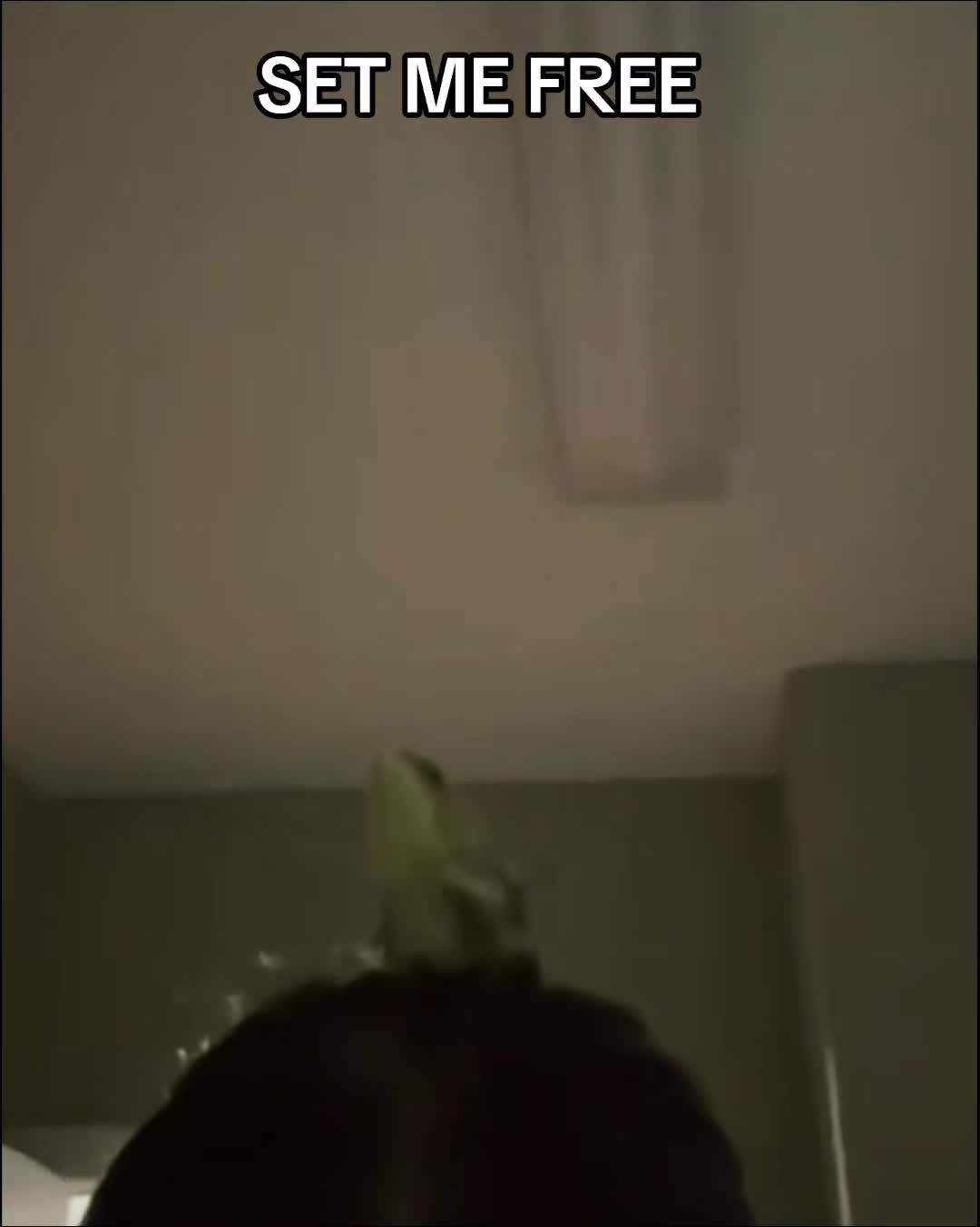 @Wheems