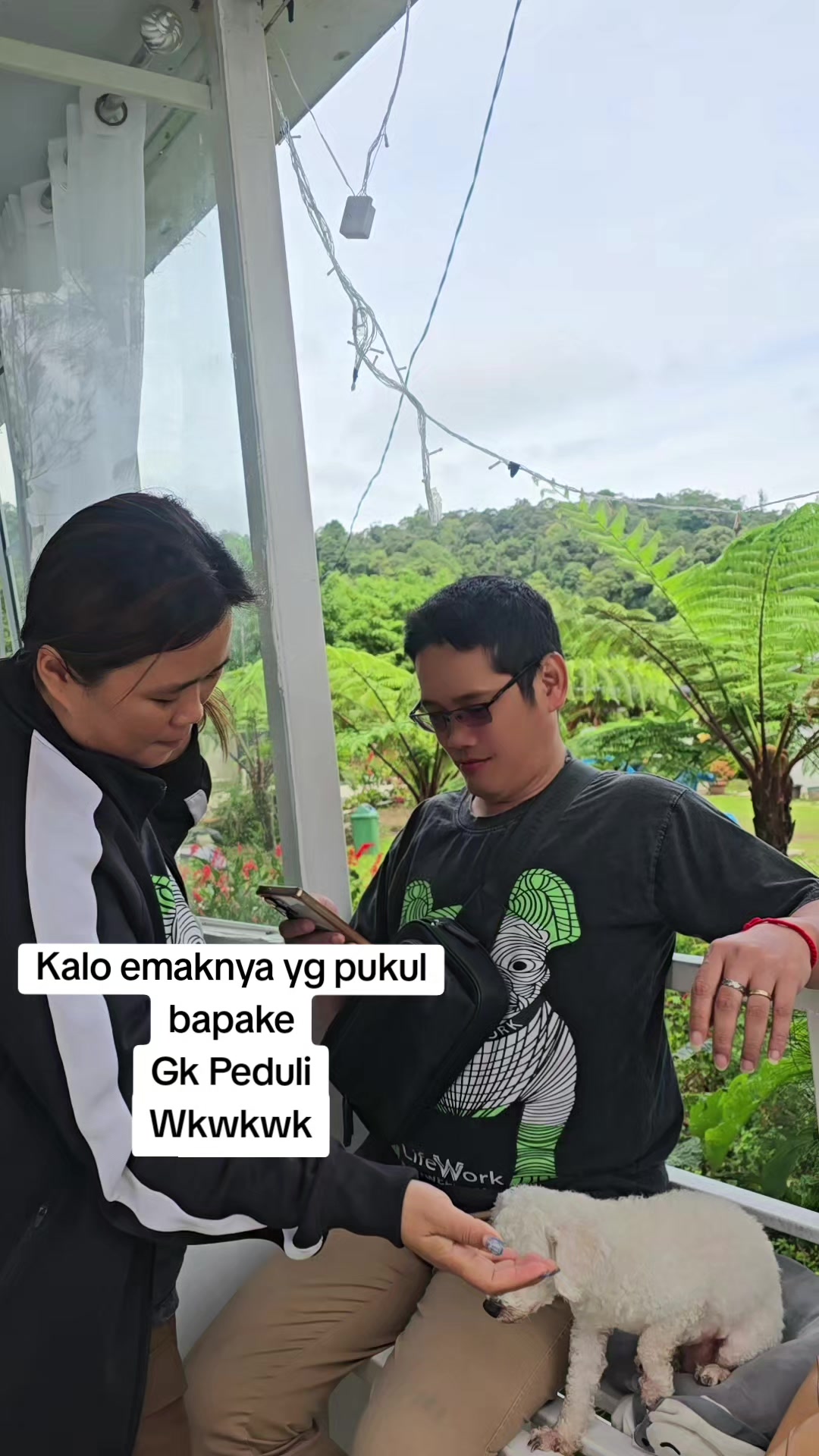 @susanniayin/CcYL