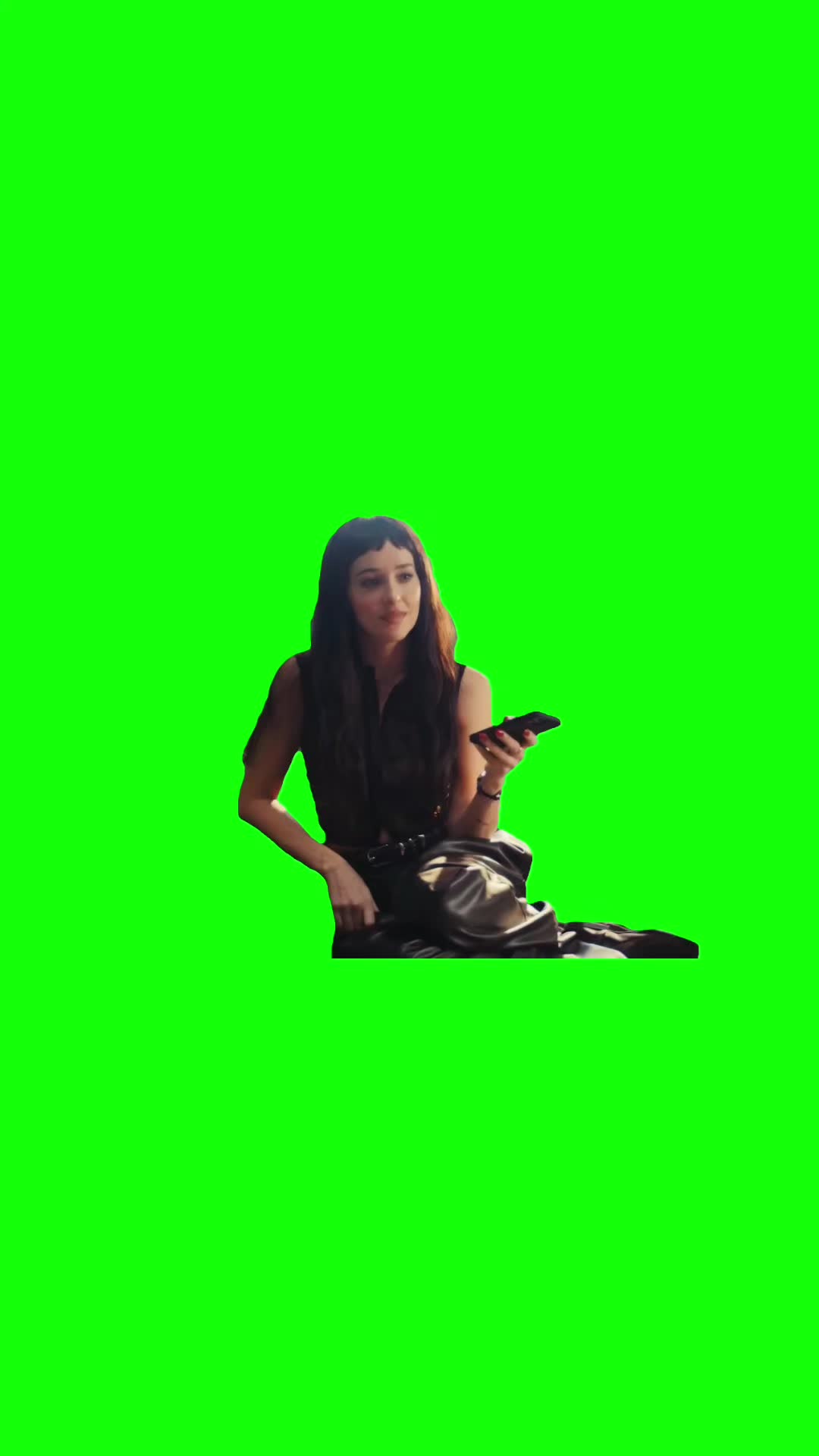 @Chief Green Screens