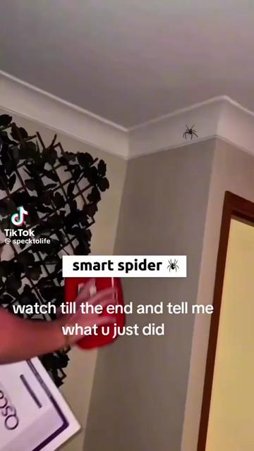 @LEGENDARYPILL BIHHHH