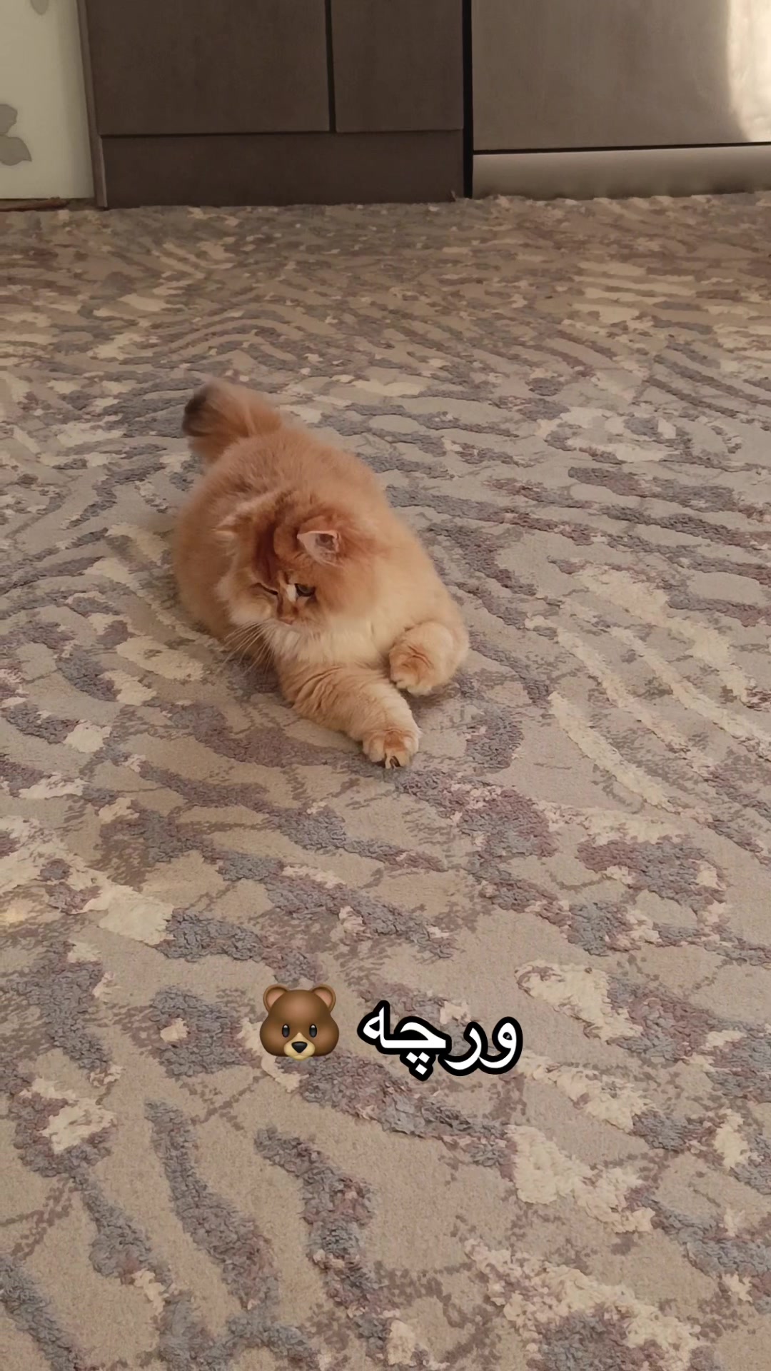@3pshilaka