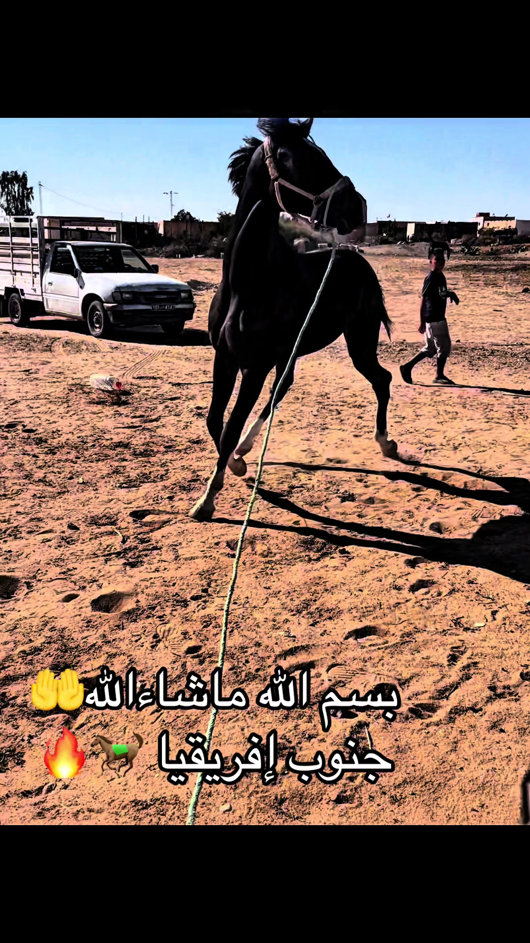 @jasser barhoumi( راكب لدهم)