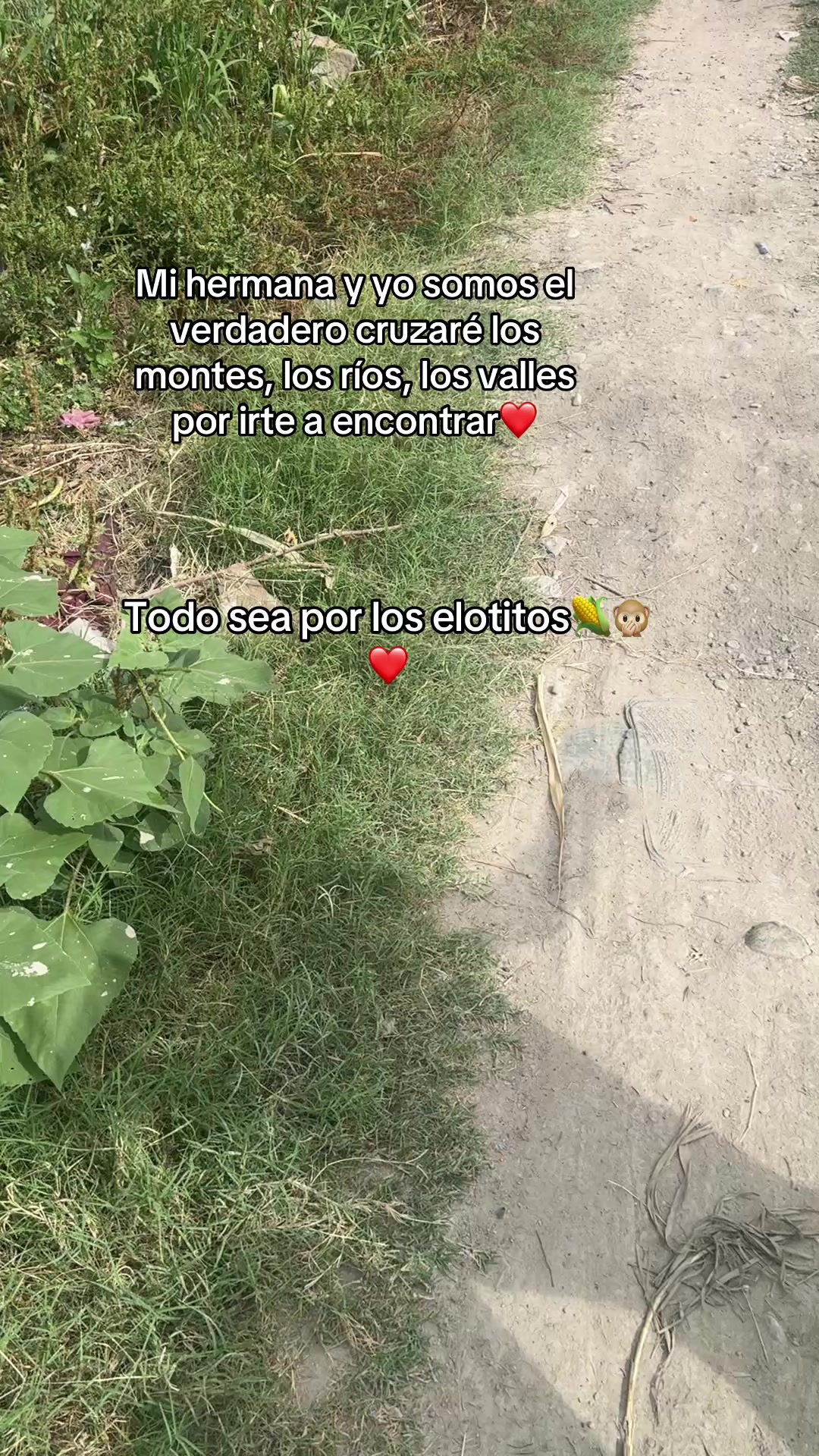 @Mar Mendoza 🦋💋✨️