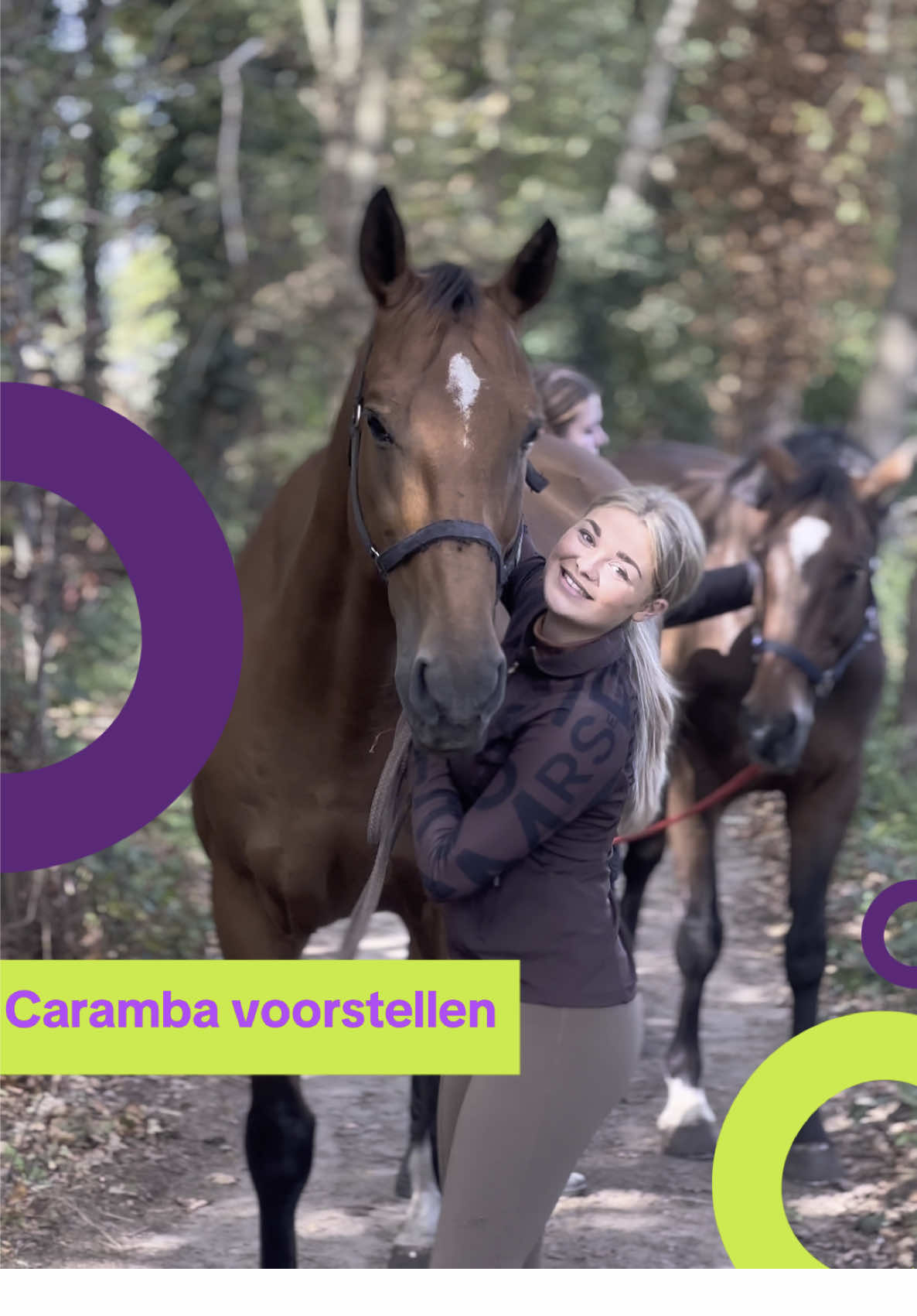 @Paardensport & -houderij Curio