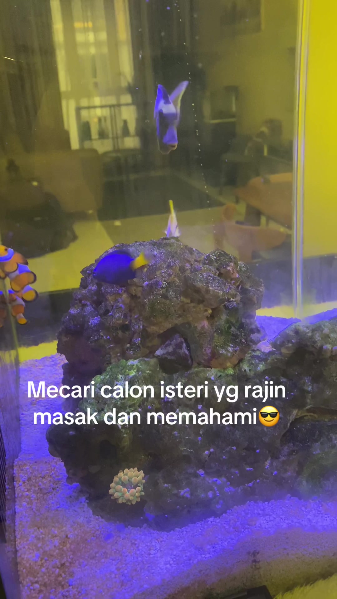 @Mohd Vira