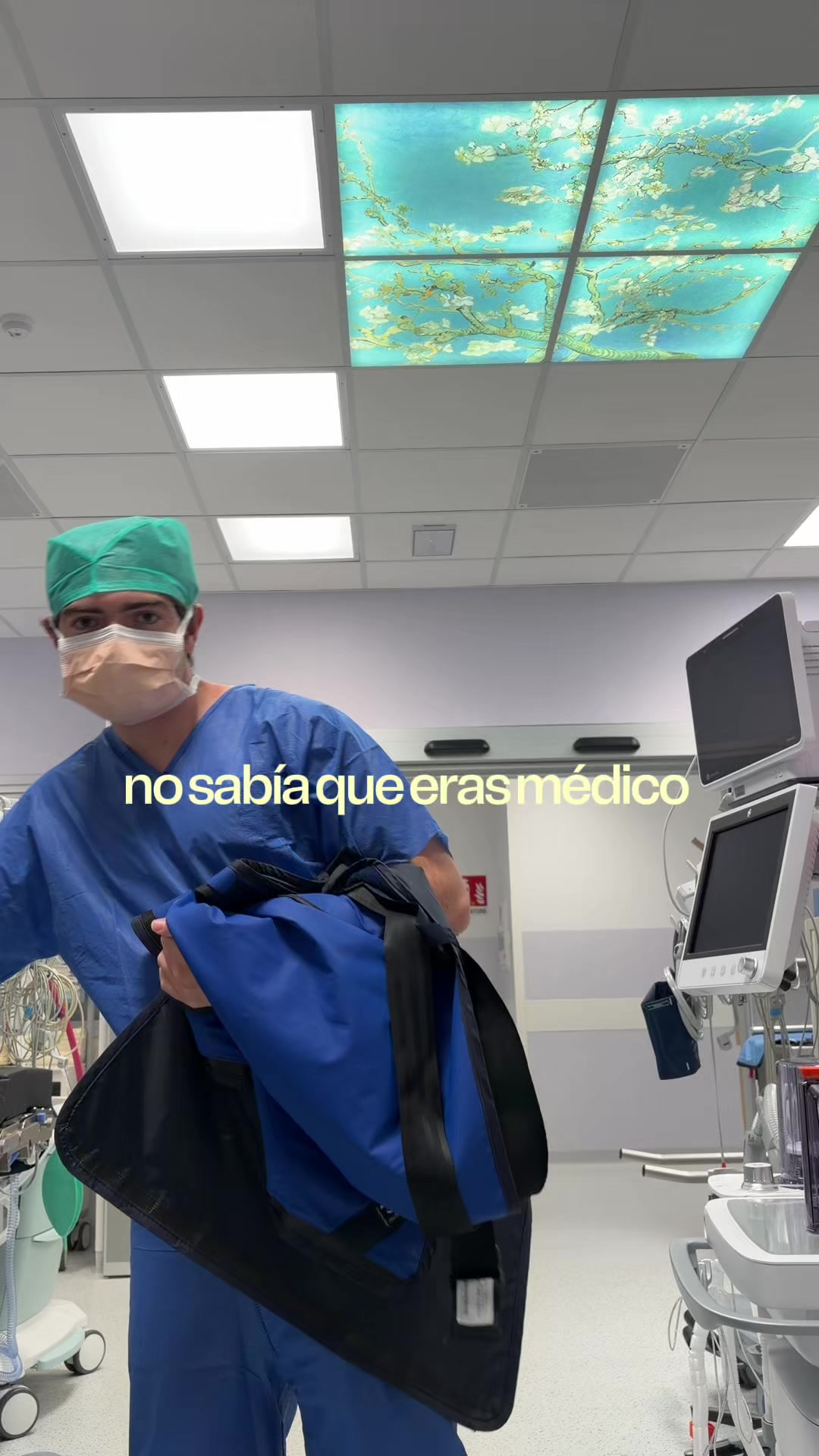 @ferlealsol