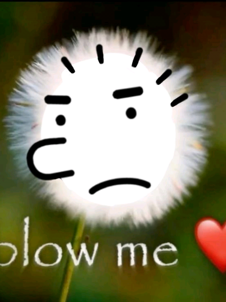 @kib