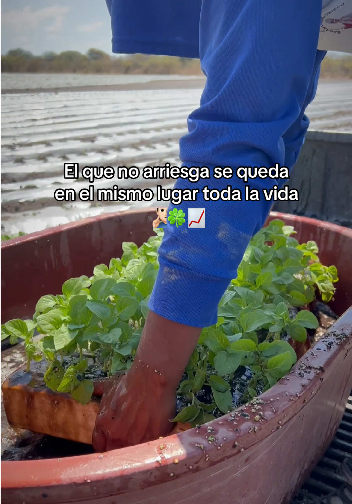 @agroboy_mx