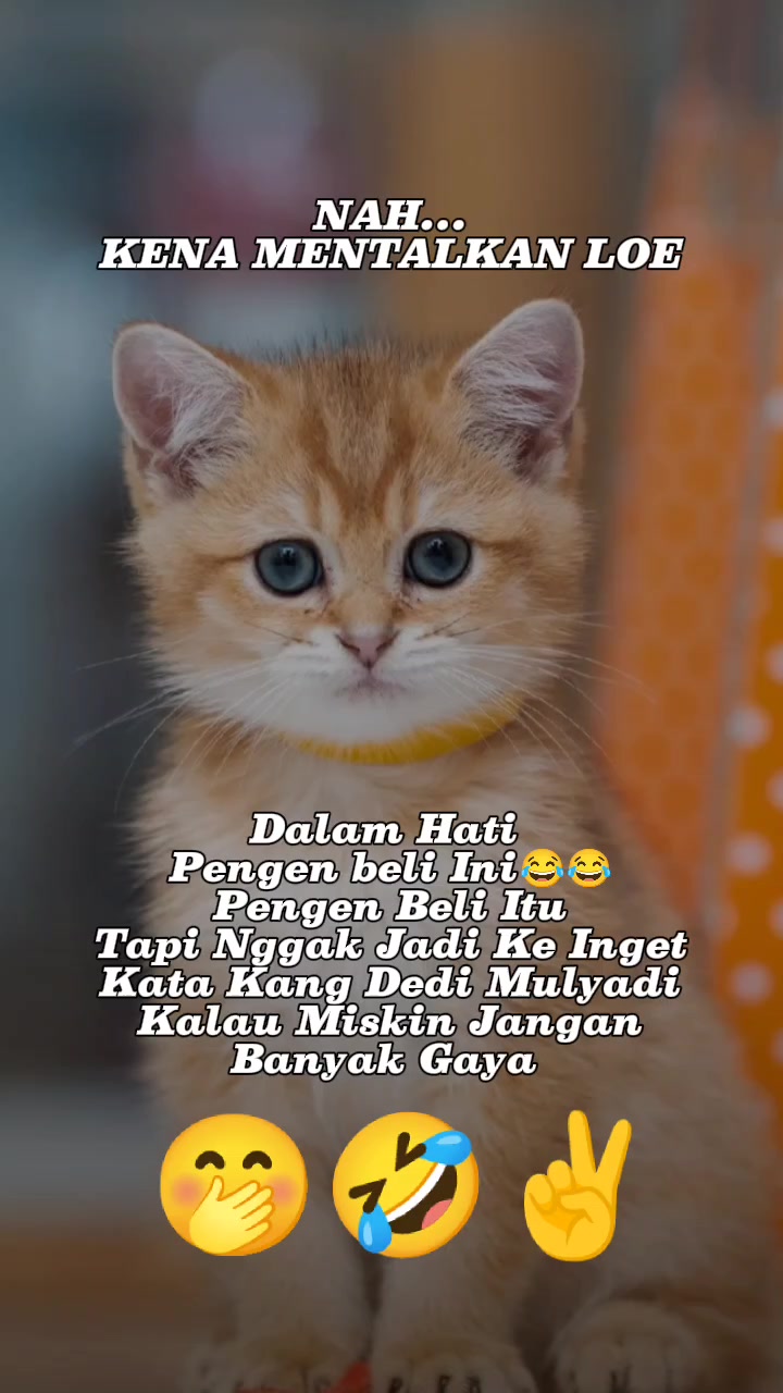 @🍂 *M00N_V31L*🍁