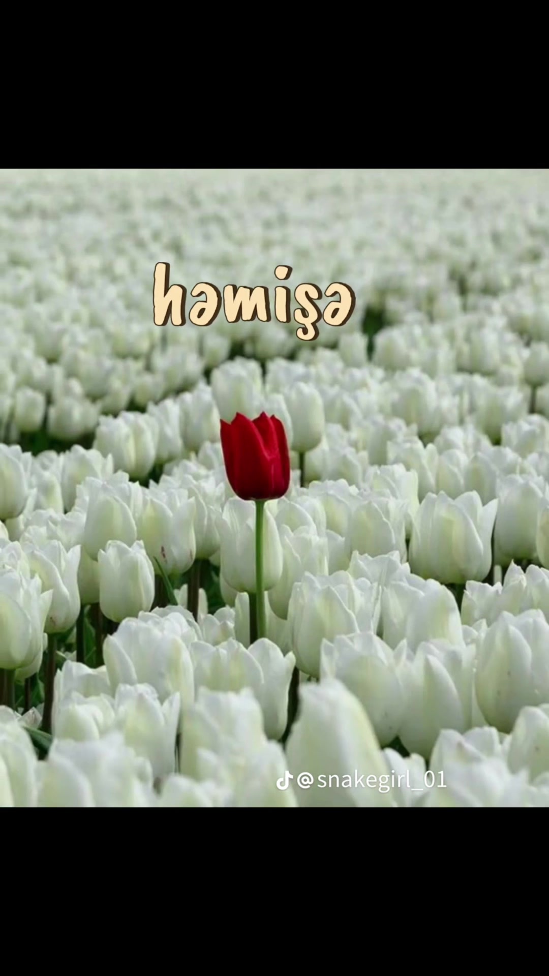 @sabirli_96