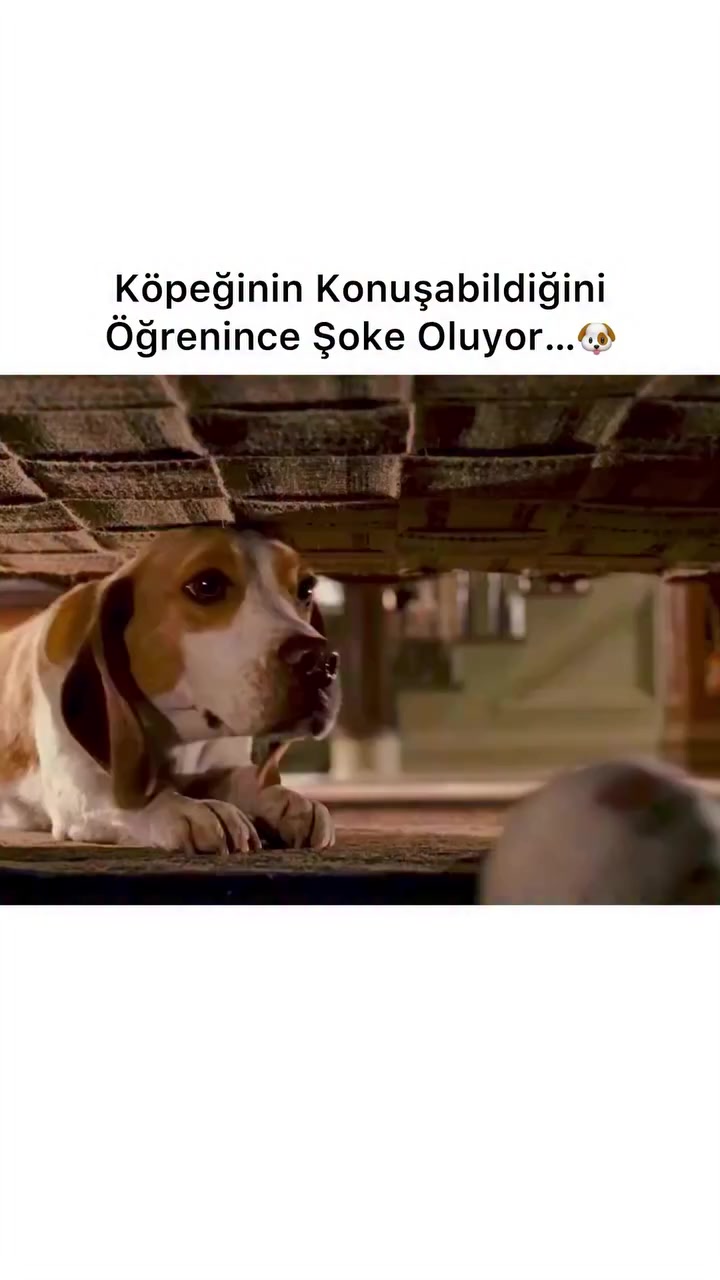 @FilmlerDünyası📽️🌍