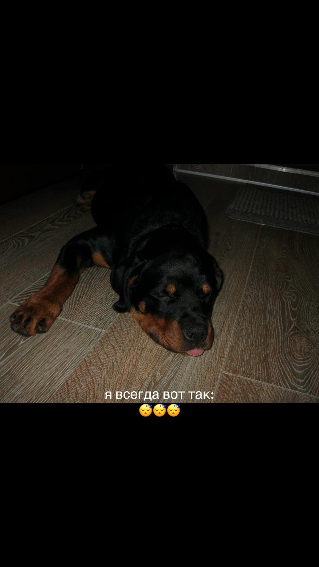 @vircruft