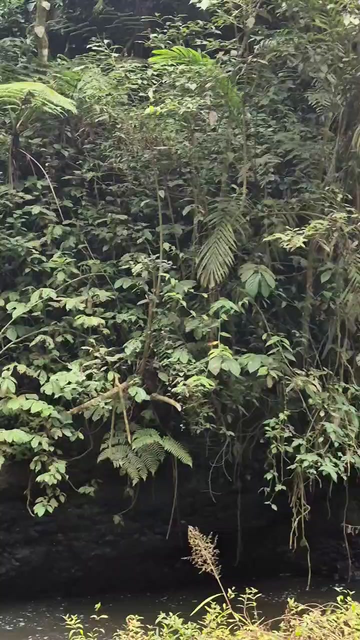 @dygidumpdump