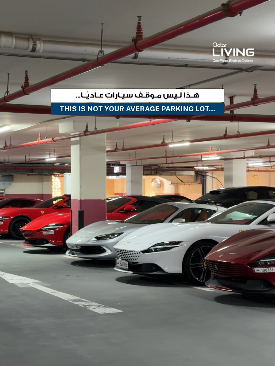 @Qatar Living