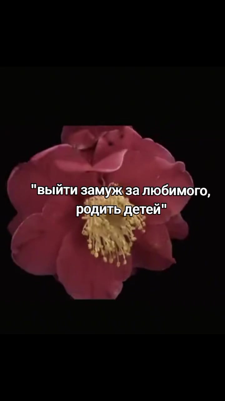 @киса🖤