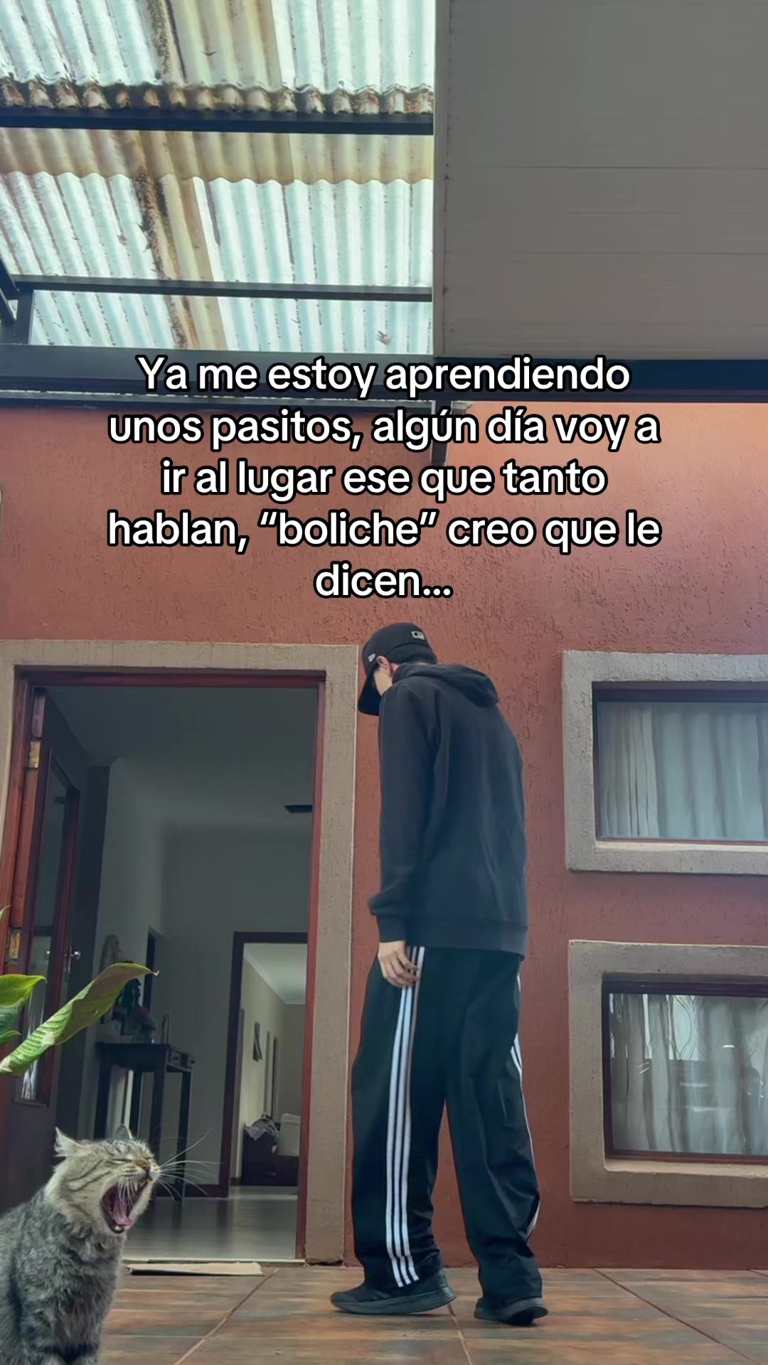 @GUIDO AYALA🧢
