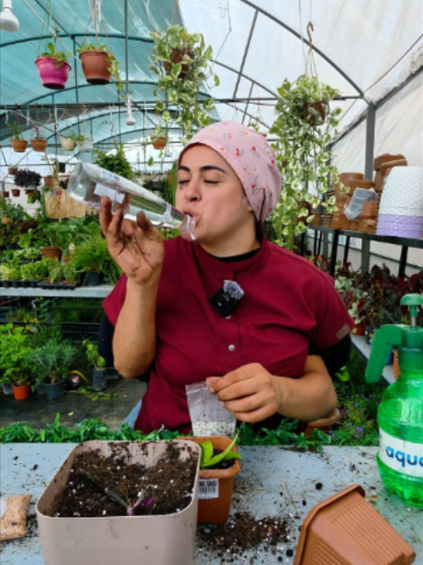 @Botanik bah&ccedil;esi flora