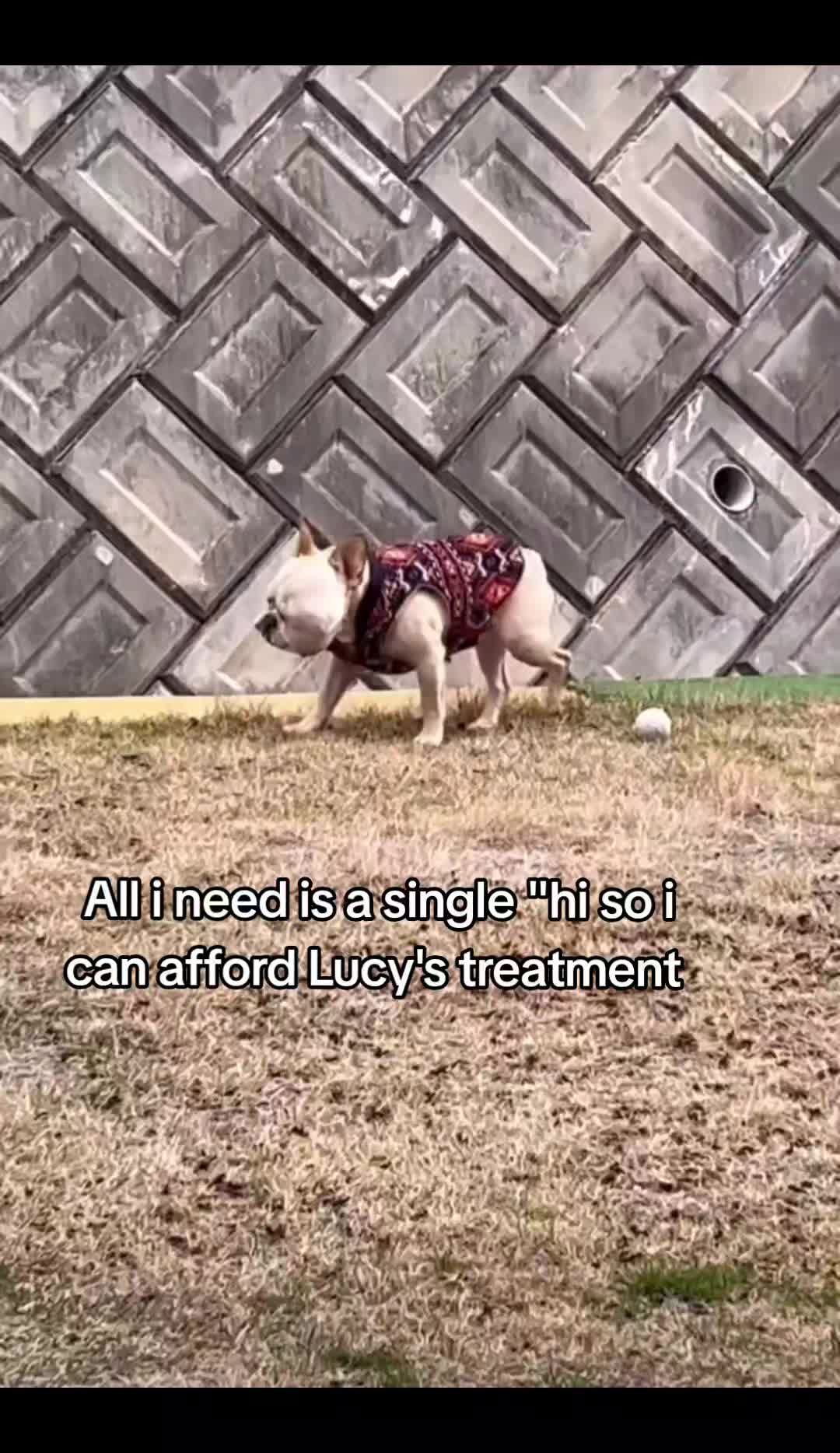 @CancerFighterPup