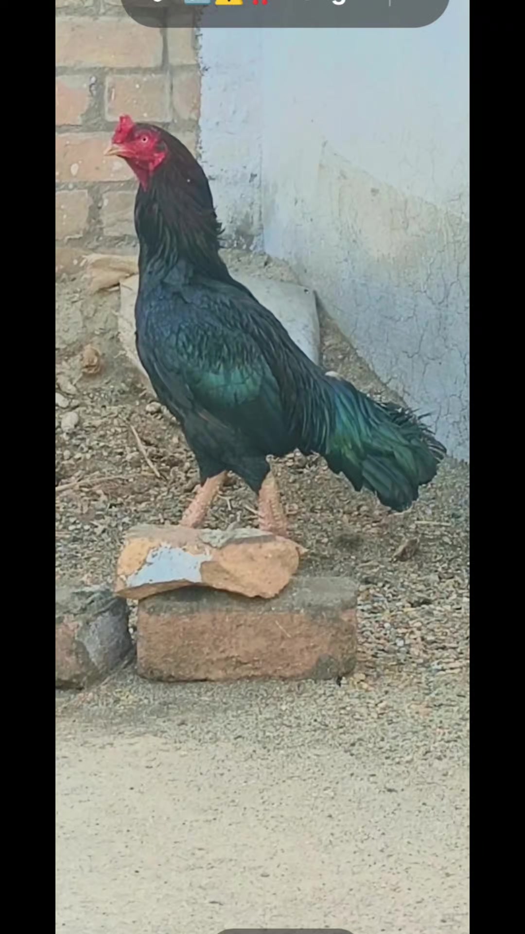@Mian shahid ullah jan