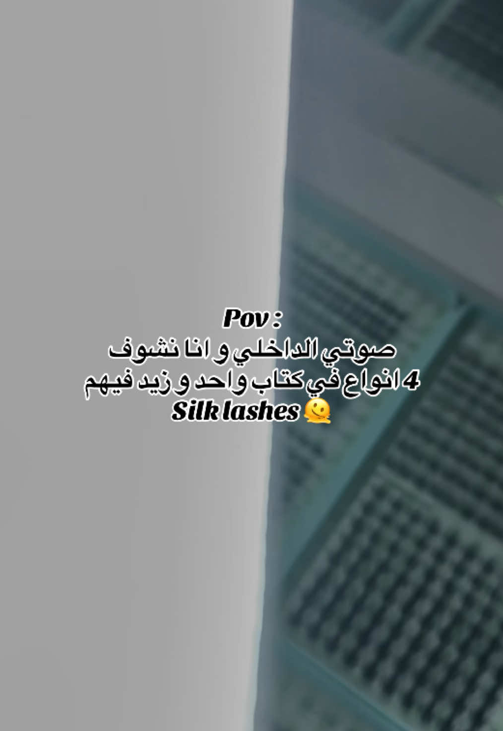 @𝐸𝓋𝒶 𝓁𝒶𝓈𝒽𝑒𝓈 🎀