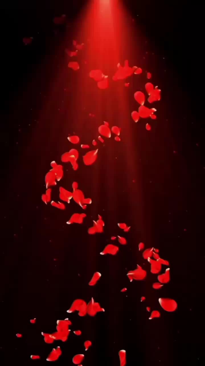 @A💕💓💕💓💖💞N💖💞💞💞