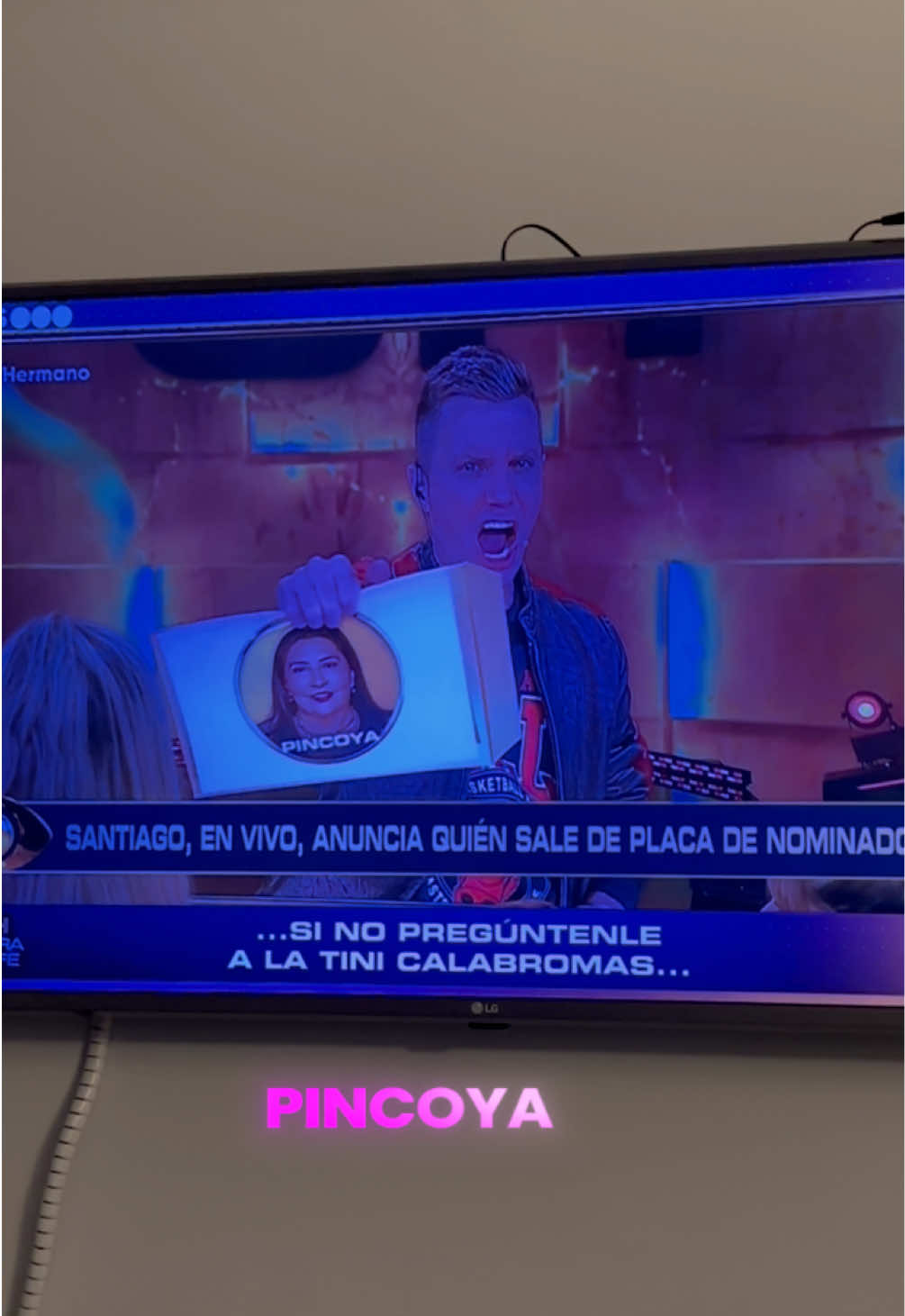 @catalina arevalo