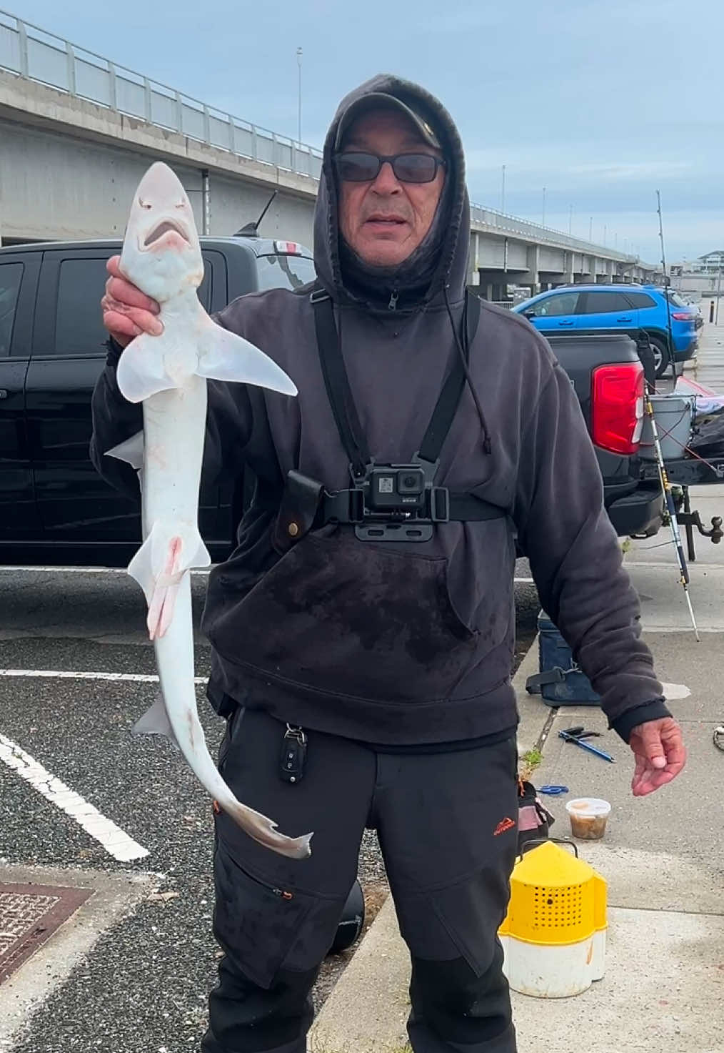 @For ReeLz Fishing 🎣