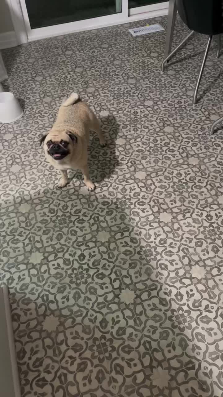 @Alex Heyen