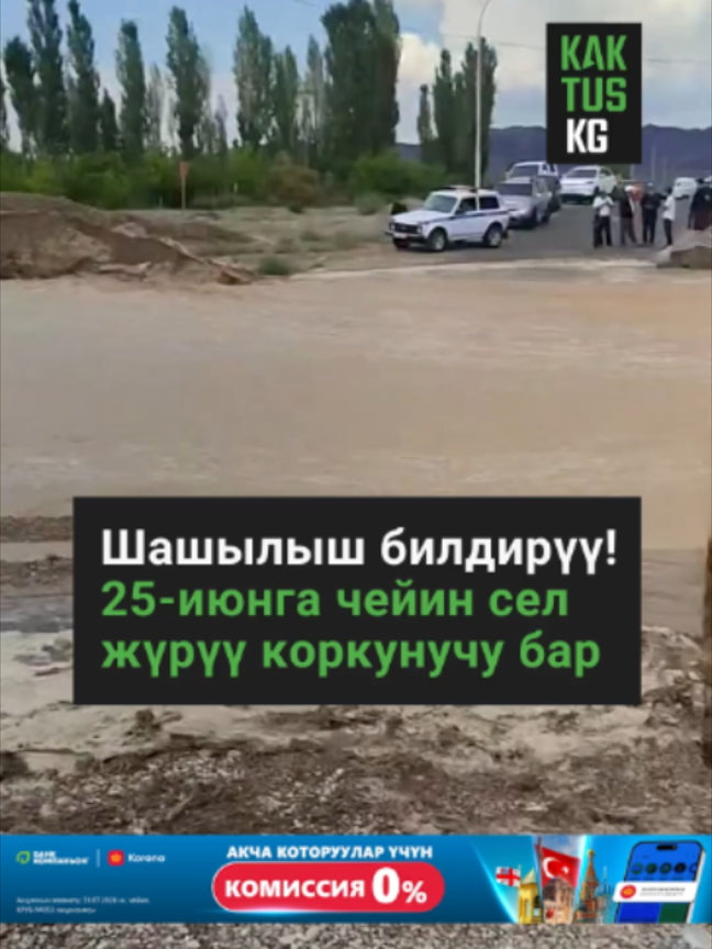 @Kaktus KG