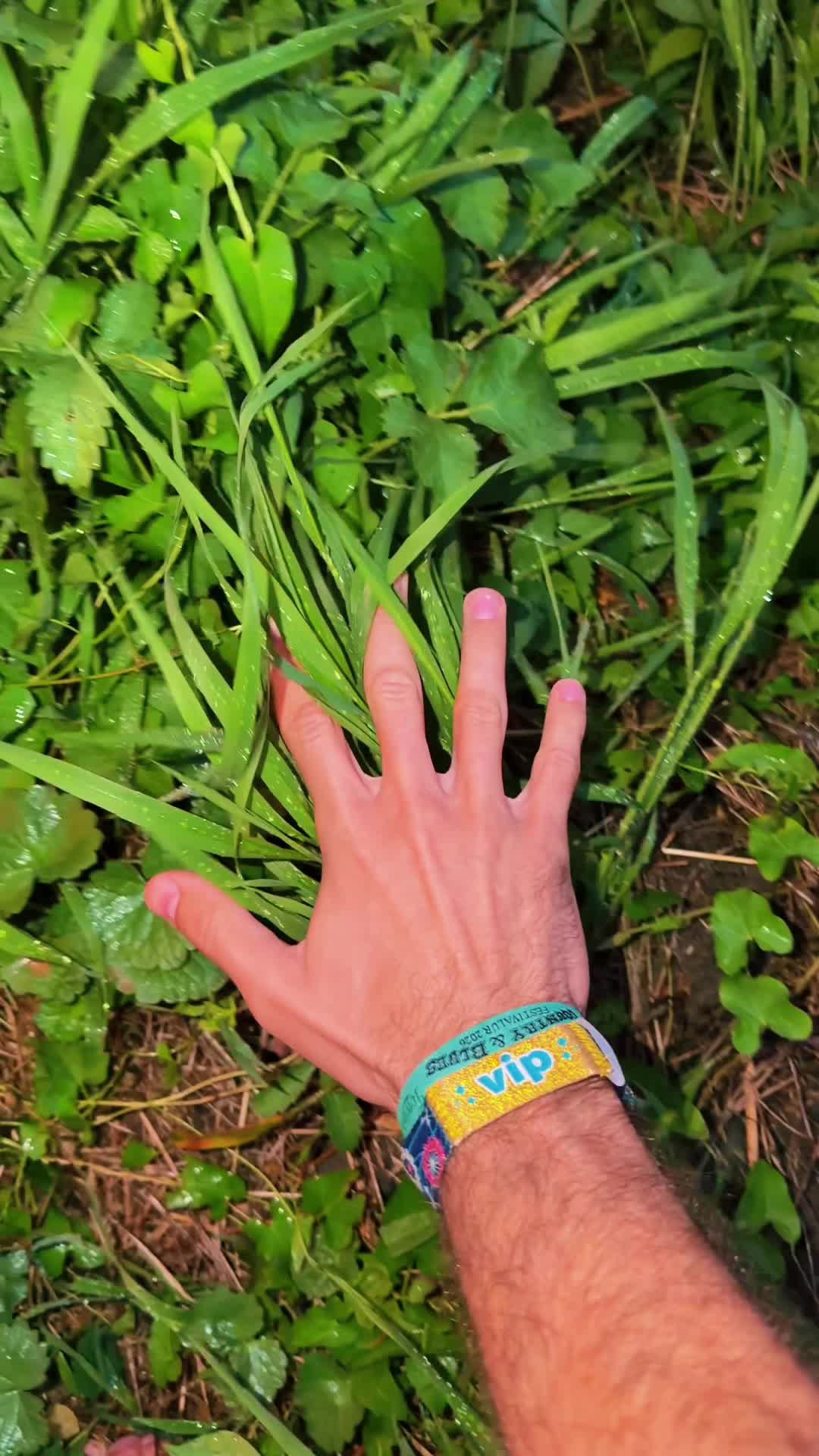 @mega