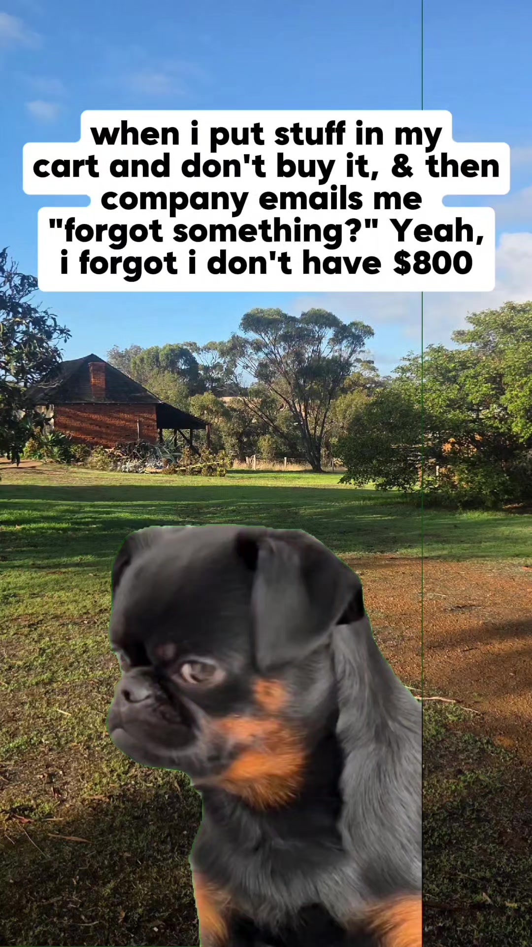 @Maids Bogan Adventures