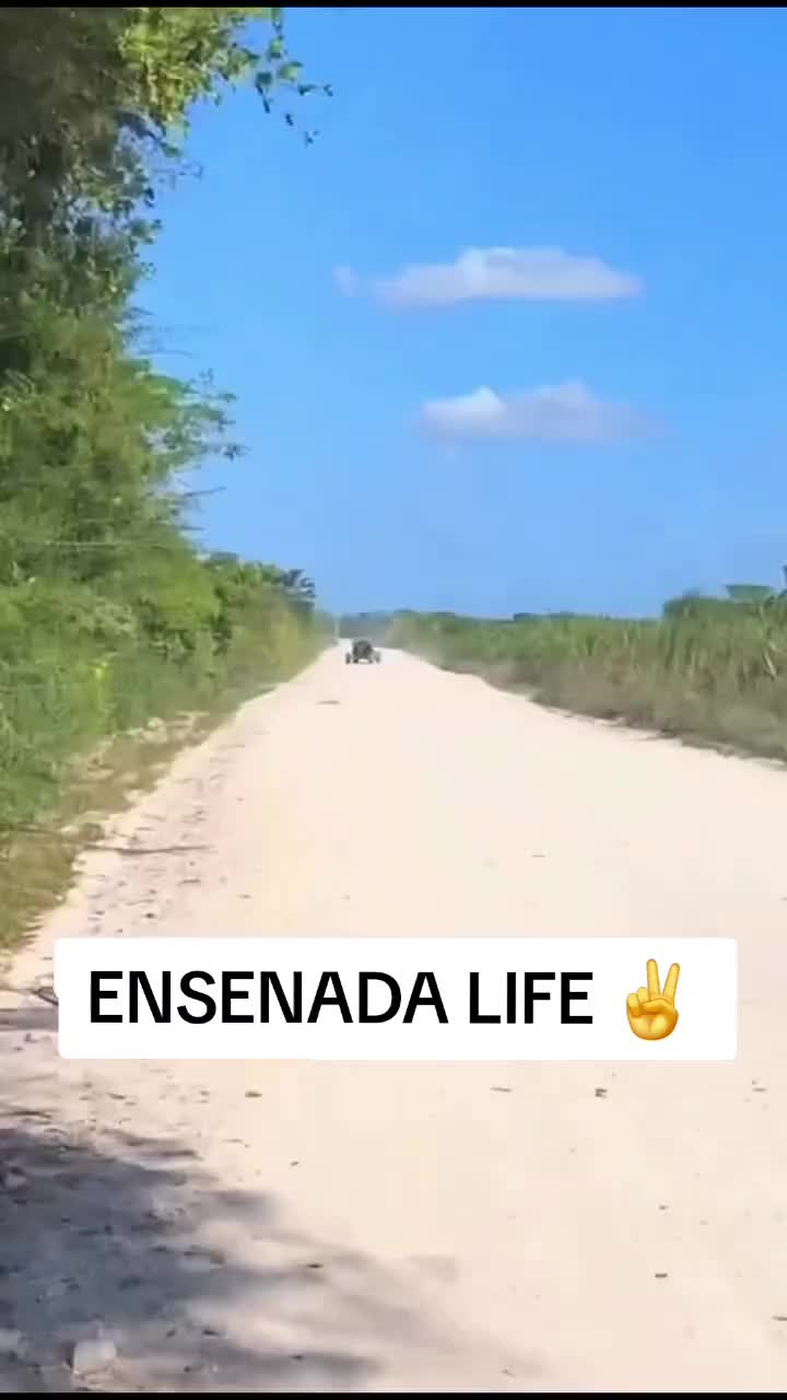 @EL Gallo Salcedo🇲🇽