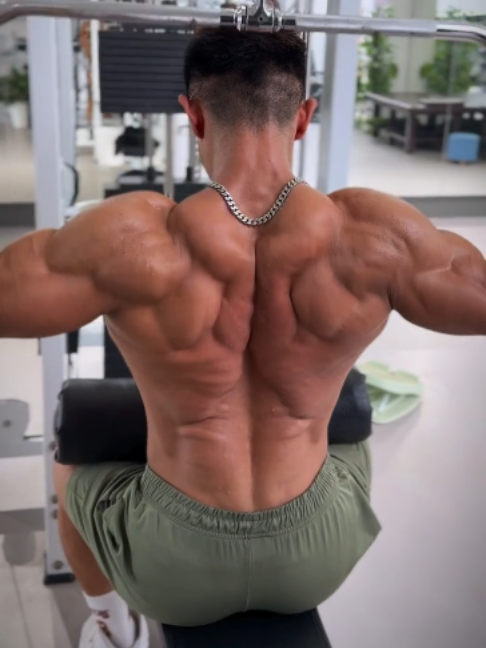 @Beautiful Muscle Male