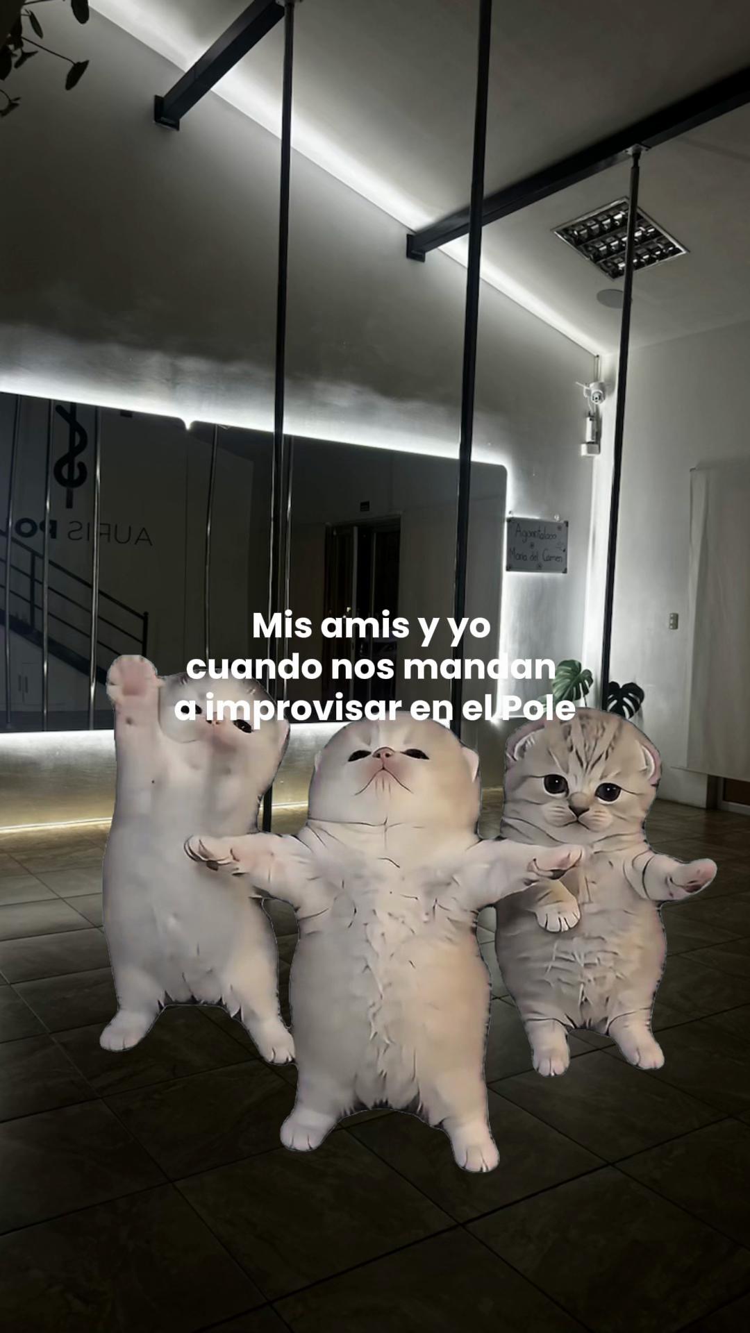 @aurispole